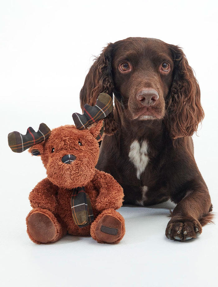 Barbour - Hund