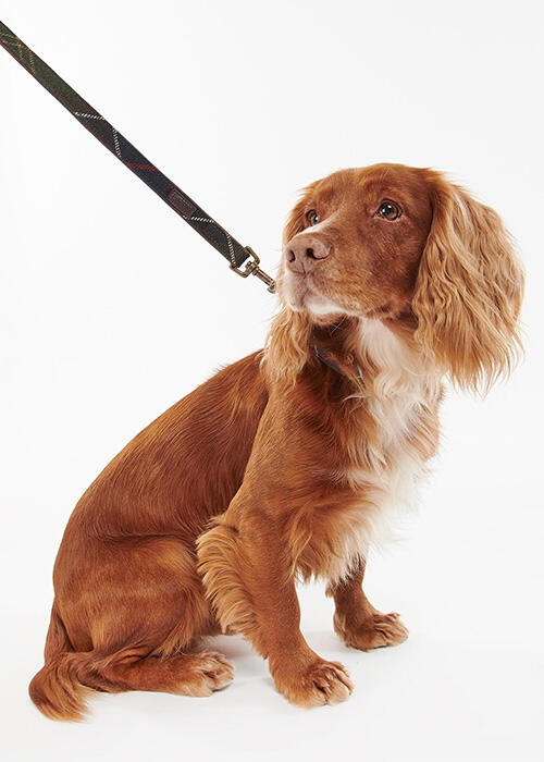 Barbour - Hund
